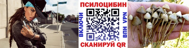 Галлюциногенные грибы Psilocybe  мориарти наркотические препараты  Фурманов 