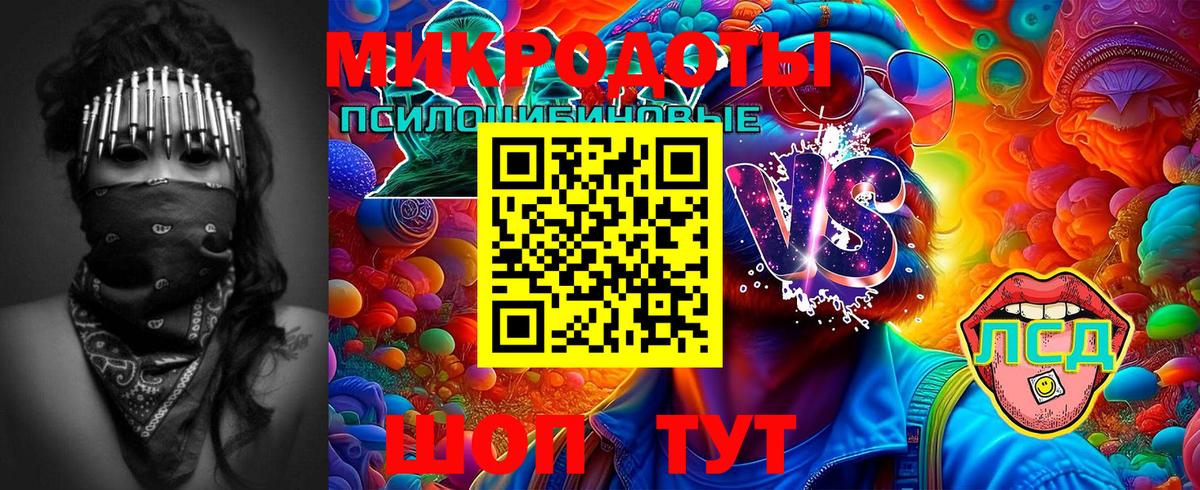 Галлюциногенные грибы Psilocybe Фурманов