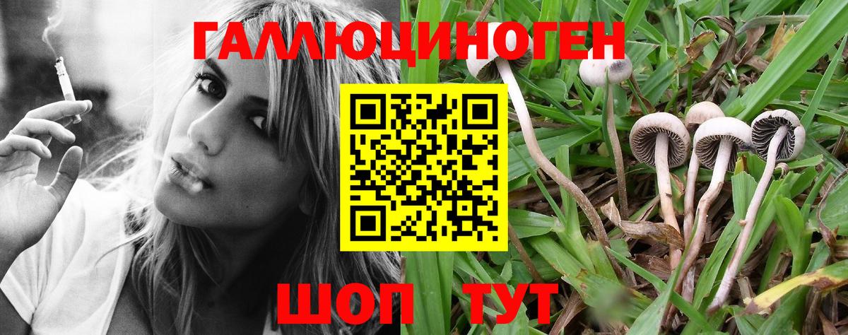 Фурманов  Псилоцибиновые грибы прущие грибы  Вход с VPN  Галлюциногенные грибы мицелий 